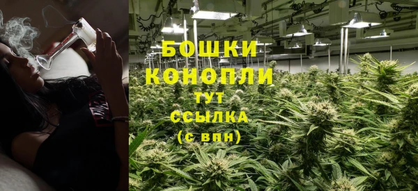 эйфоретик Дмитров