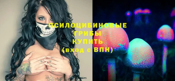ешки Дмитровск